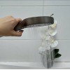 Смеситель для ванны ViEiR V343531-G, каскадный поворотный излив, Оружейная сталь