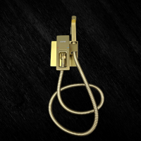 G7217-3 Встраиваемый гигиенический душ Gappo G7217-3 Встраиваемый гигиенический душ Gappo